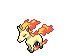 rapidash